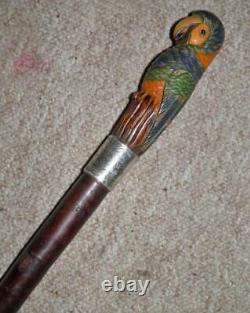 Victorian Walking Cane -Hand Carved & Painted Parrot Head Top H/M Silver 1893