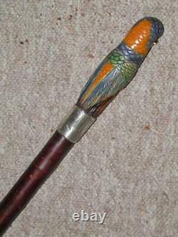 Victorian Walking Cane -Hand Carved & Painted Parrot Head Top H/M Silver 1893
