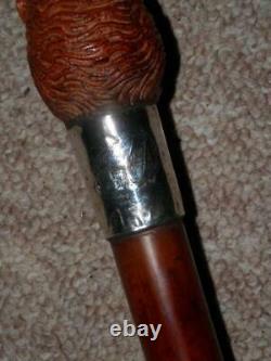 Victorian Walking Stick/Cane Carved Lions Head & H/m Silver Collar 1895 89cm