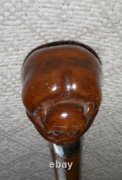 Victorian Walking Stick / Cane Hand Carved Ape Hallmarked Silver Collar 1894