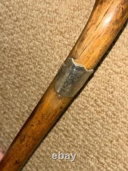 Victorian Walking Stick / Cane Hand-Carved Dobermann Dog Hallmarked 1900 Silver