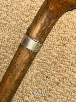 Victorian Walking Stick / Cane Hand-Carved Dobermann Dog Hallmarked 1900 Silver