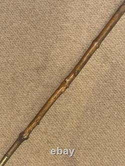 Victorian Walking Stick / Cane Hand-Carved Dobermann Dog Hallmarked 1900 Silver