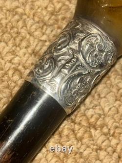 Victorian Walking Stick Hand-Carved Bovine Horn Dog & Hallmarked 1884 Silver