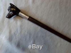 Vintage 1935 Hand-Carved Wood Dog Head And Sterling Silver Collar Walking Stick