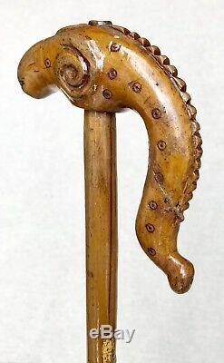 Vintage Antique 1800 American Folk Art Carved Wood Maple Walking Stick Cane Old