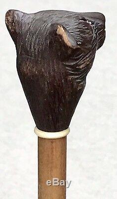 Vintage Antique 1800 Carved Wood Bears Head Walking Stick Cane Bone Mount Old