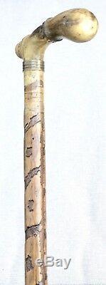 Vintage Antique 19C Horn Handle Carved Wood Folk Art Walking Stick Cane Old