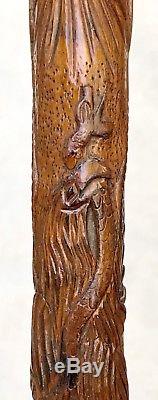 Vintage Antique 19C Mexican Aztec Coat Of Arms Carved Wood Walking Stick Cane