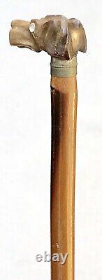 Vintage Antique Carved Horn Dogs Head Handle Swagger Pointer Walking Stick Cane