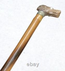Vintage Antique Carved Horn Dogs Head Handle Swagger Pointer Walking Stick Cane