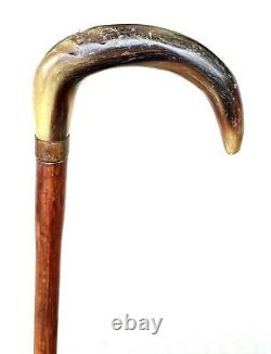 Vintage Antique Child Carved Horn Hardwood Shaft Fancy Walking Stick Cane 23L