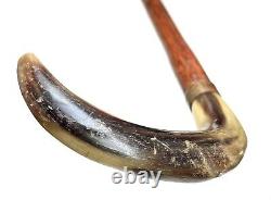 Vintage Antique Child Carved Horn Hardwood Shaft Fancy Walking Stick Cane 23L