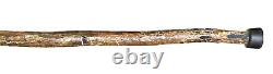 Vintage Antique Folk Art Carved Wood Bear DesignerKnob SwaggerWalking Stick Cane