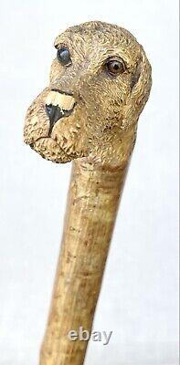 Vintage Antique Folk Art Carved Wood Dog Gold Swagger Knob Walking Stick Cane