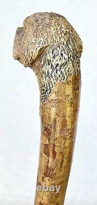 Vintage Antique Folk Art Carved Wood Dog Gold Swagger Knob Walking Stick Cane