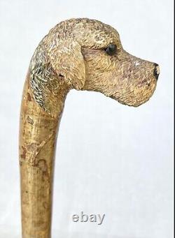 Vintage Antique Folk Art Carved Wood Dog Gold Swagger Knob Walking Stick Cane