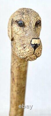 Vintage Antique Folk Art Carved Wood Dog Gold Swagger Knob Walking Stick Cane