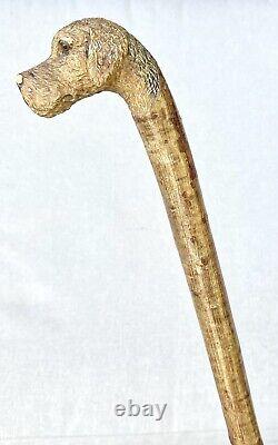 Vintage Antique Folk Art Carved Wood Dog Gold Swagger Knob Walking Stick Cane