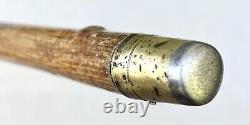 Vintage Antique Folk Art Carved Wood Dog Gold Swagger Knob Walking Stick Cane