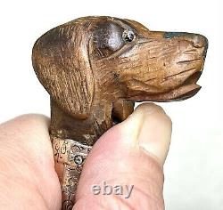 Vintage Antique Gadget Gloves Holder Carved Wood Dog Swagger Walking Stick Cane