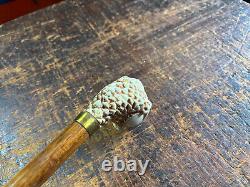 Vintage/Antique Hand Carved Walking Cane/Stick Faux Ivory Claw Foot & Egg