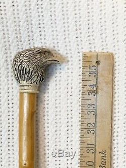 Vintage Antique Walking Stick Cane With Carved Bone Eagle Head Handle
