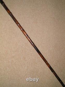 Vintage Bamboo Walking Stick / Cane Hand-Carved Shaft & Bird Top With Glass Eyes