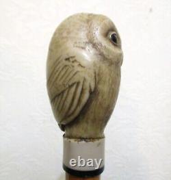 Vintage Carved Bone Owl with Glass Eyes Handle Wood Walking Stick, 36 1/2 Inches