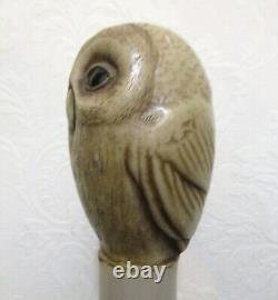 Vintage Carved Bone Owl with Glass Eyes Handle Wood Walking Stick, 36 1/2 Inches