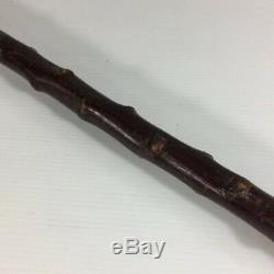 Vintage Carved Dogs Head Antler Walking Stick Briar Wood Shaft 94cm In Length