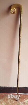 Vintage Carved Rams Horn Handle Walking Stick Shepherds Crook 52 Curled Arrow