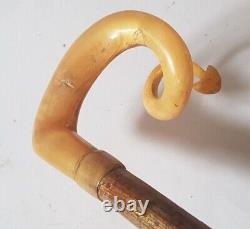 Vintage Carved Rams Horn Handle Walking Stick Shepherds Crook 52 Curled Arrow