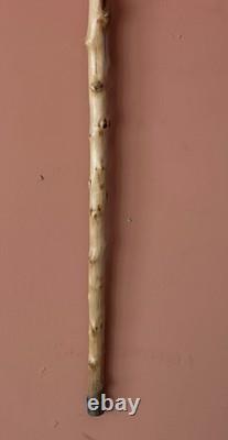 Vintage Carved Resin Dog Head Walking Cane Glass Eyes 100cm