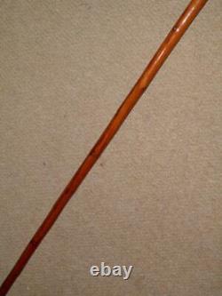 Vintage Carved Resin Spaniel Dog Head Walking Stick/Cane With Glass Eyes 91cm