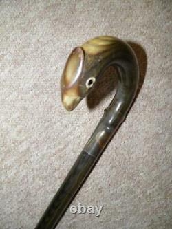 Vintage Complete All Bovine Horn Walking Stick/Cane-Hand-Carved Bird Crook -86cm