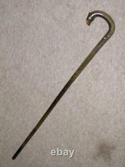 Vintage Complete All Bovine Horn Walking Stick/Cane-Hand-Carved Bird Crook -86cm