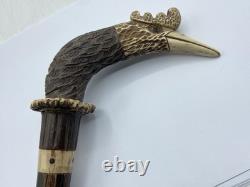 Vintage Coromandel & Carved Faux Antler Birds Head Walking Stick