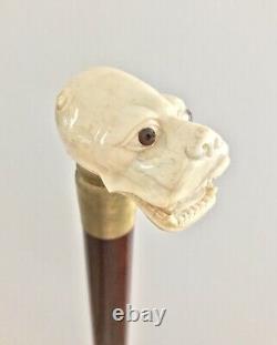 Vintage Hand Carved Bovine Bone Head Handle Walking Cane Stick
