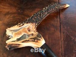 Vintage Hand Carved Horn Antler Hunting Dogs Wild Boar Walking Stick Cane 36