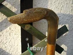 Vintage Handmade Hazel and Carved Rams Horn Dogs Head Walking Stick 38