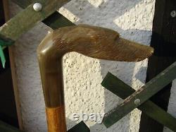 Vintage Handmade Hazel and Carved Rams Horn Dogs Head Walking Stick 38