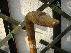 Vintage Handmade Hazel and Carved Rams Horn Dogs Head Walking Stick 38