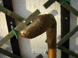 Vintage Handmade Hazel and Carved Rams Horn Dogs Head Walking Stick 38