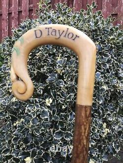 Vintage Rams Horn Shepherds Crook. On Hazel Shaft