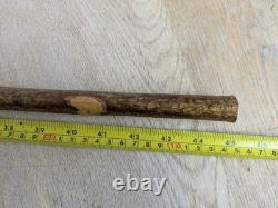 Vintage Rams Horn Shepherds Crook Walking Stick Thistl Carved Handle 115cm (45)