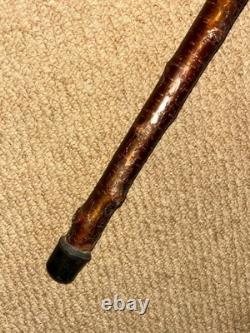 Vintage Rustic Birch Walking Stick Cane Hand-Carved Snake Handle & Antler Teeth