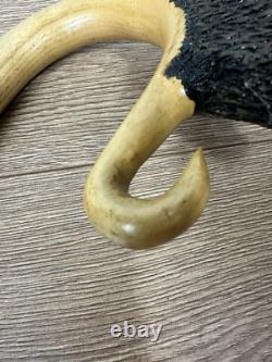 Vintage Unusual Unique 53 Shepherds Crook Boars Head Hand Carved Walking Stick