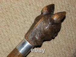 Vintage V Large Hand Carved Snarling Dog H/M Silver Walking Stick Cane. BRIGG