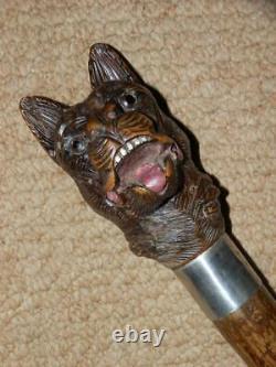 Vintage V Large Hand Carved Snarling Dog H/M Silver Walking Stick Cane. BRIGG